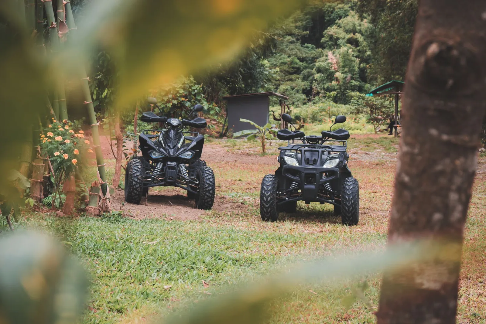 Two quad bikes parked in woodland